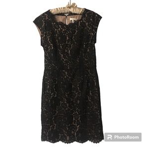 JOIE MARIBETH LACE OVERLAY CAP SLEEVE SHEATH DRESS BLACK SIZE M 18-31088